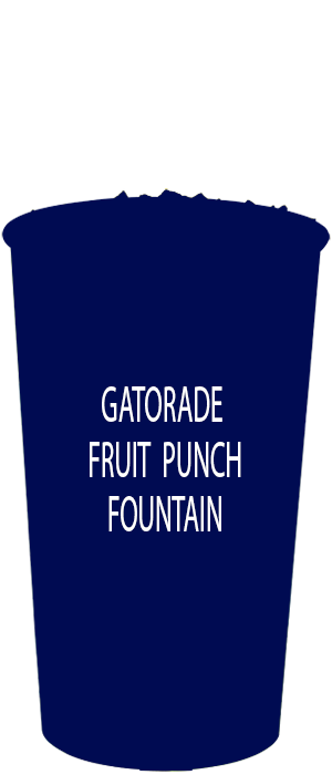 Gatorade Fruit Punch